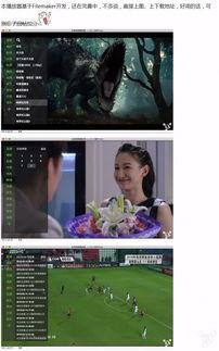 国产男女大片推荐视频播放器,畅享视听盛宴,尽在视频播放器 第2张 国产男女大片推荐视频播放器,畅享视听盛宴,尽在视频播放器 第2张